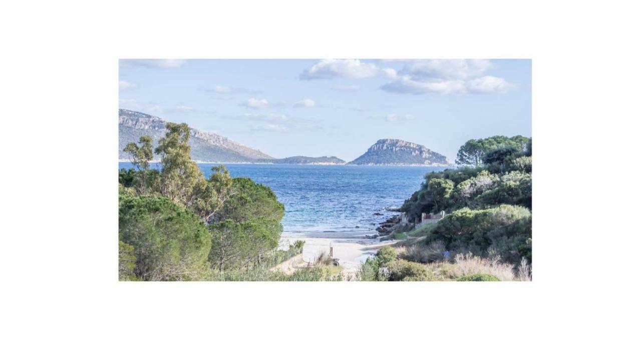Villa Aranzos Golfo Aranci Dış mekan fotoğraf