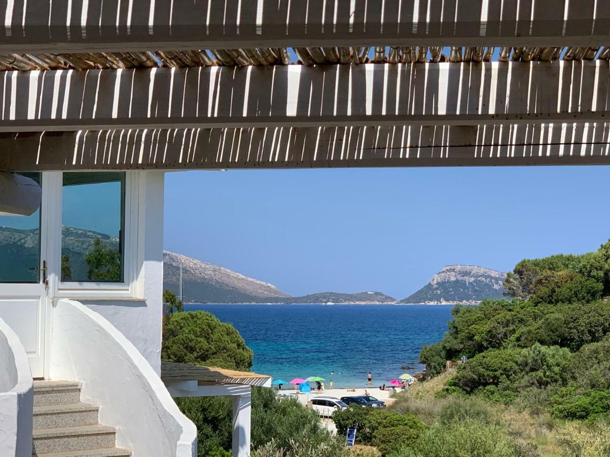 Villa Aranzos Golfo Aranci Dış mekan fotoğraf