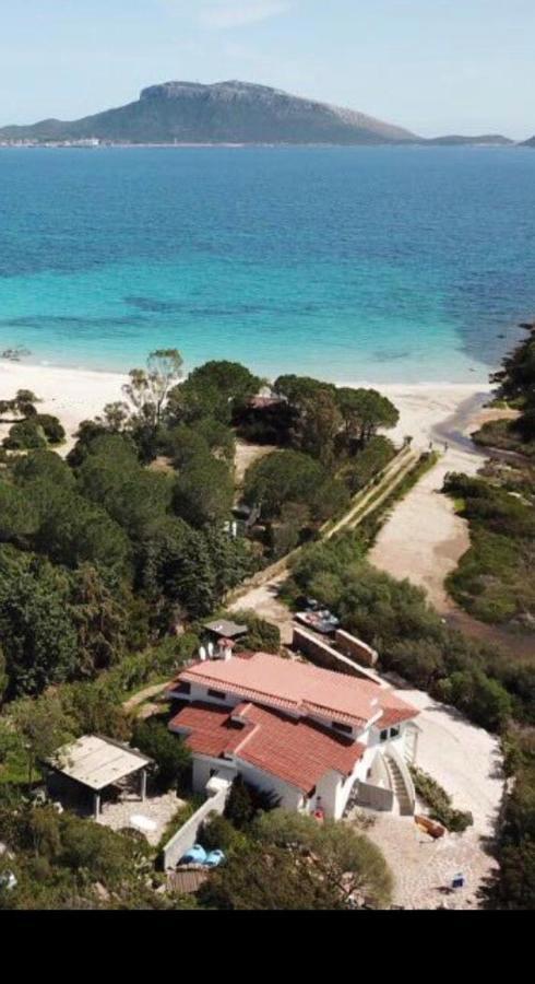 Villa Aranzos Golfo Aranci Dış mekan fotoğraf