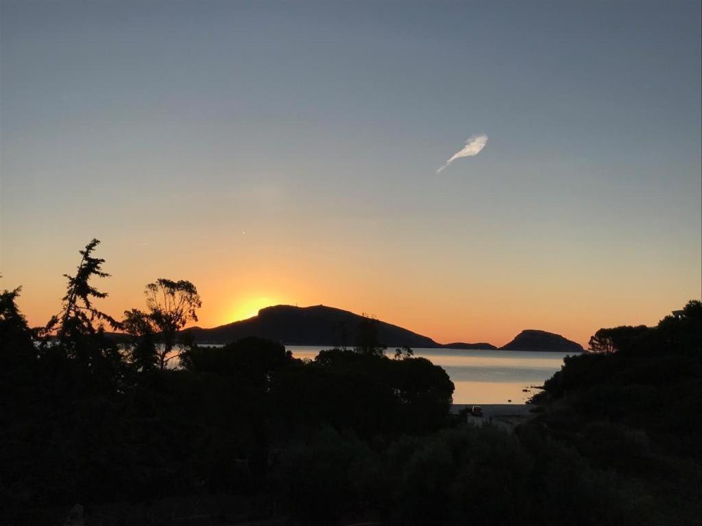 Villa Aranzos Golfo Aranci Dış mekan fotoğraf