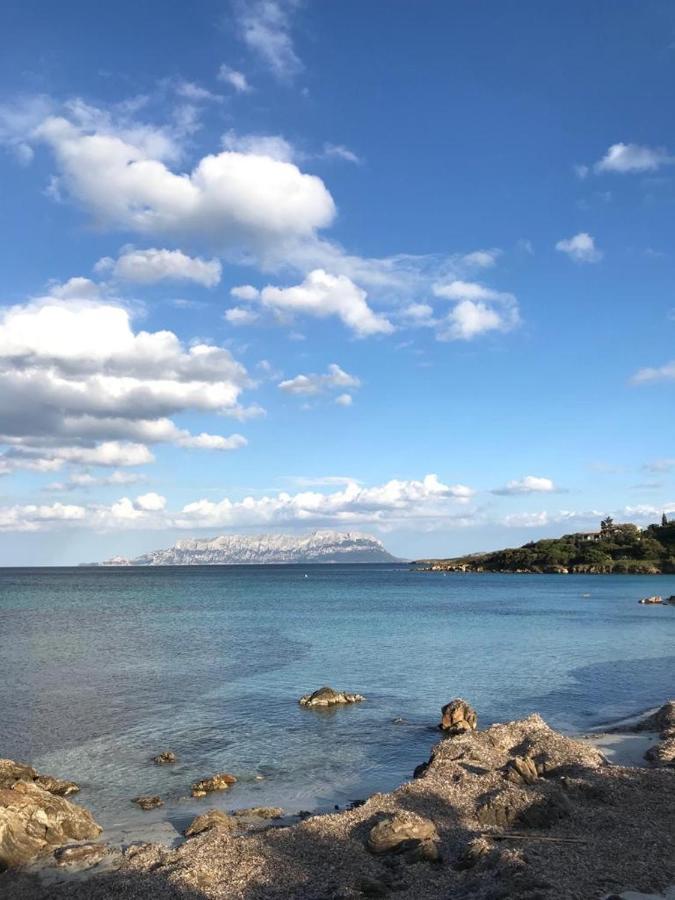 Villa Aranzos Golfo Aranci Dış mekan fotoğraf